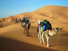 On Route Pour Tombouctou